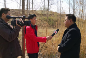 “温暖过冬，海岛游受热捧”
