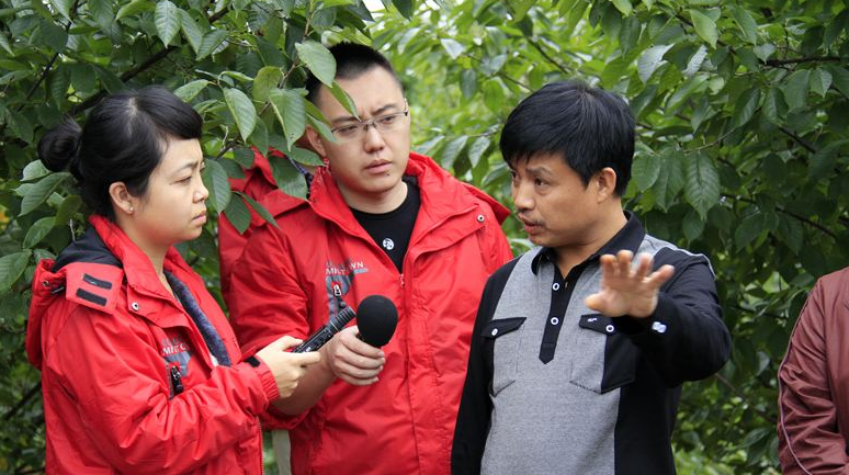 “春季提醒：野菜不是家常菜吃前需解决不宜多吃”