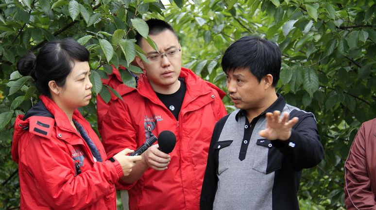 “头水菌大量上市了 干旱让其迟到了半个月”